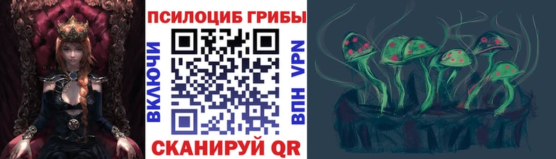 наркотики  Ахтырский  Галлюциногенные грибы мицелий 